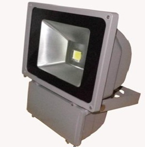 LEDLEDͶƴʼ100W