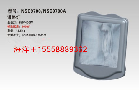 NSC9700/ֻ_ѣͨ·_