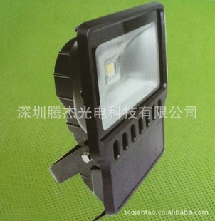 LEDơ10W30W50W80W100W