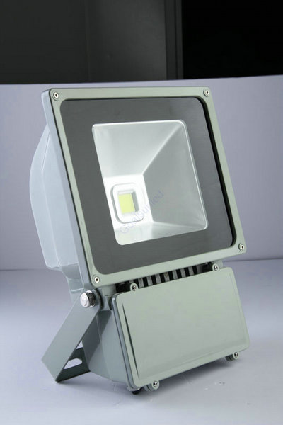 LED100WͶ