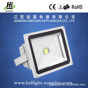 LEDFloodlight30WLEDͶ
