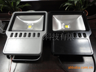 LED100W120WLED