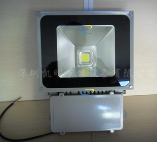 LEDͶ/100W/CEROHSIP/Ͷ
