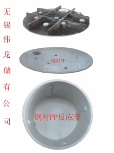 钢衬PP反应釜