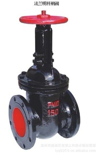 բZ41T-16DN100