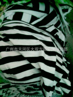 žӪδѡĲ——鲼