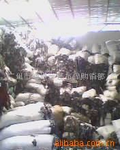 ţв鲼޷޷֯
