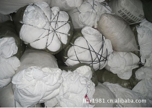 ֻ鲼ֻ