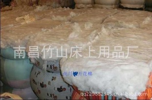ڶ˿pp,˿޴