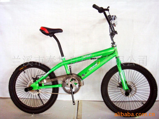 ֱ۸ݶ20BMXг