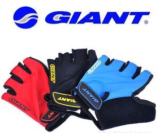 ݰаָGIANTгзװ
