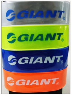 GiantݰطȴGiantȴݰط