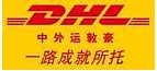 DHL/6000ؼ