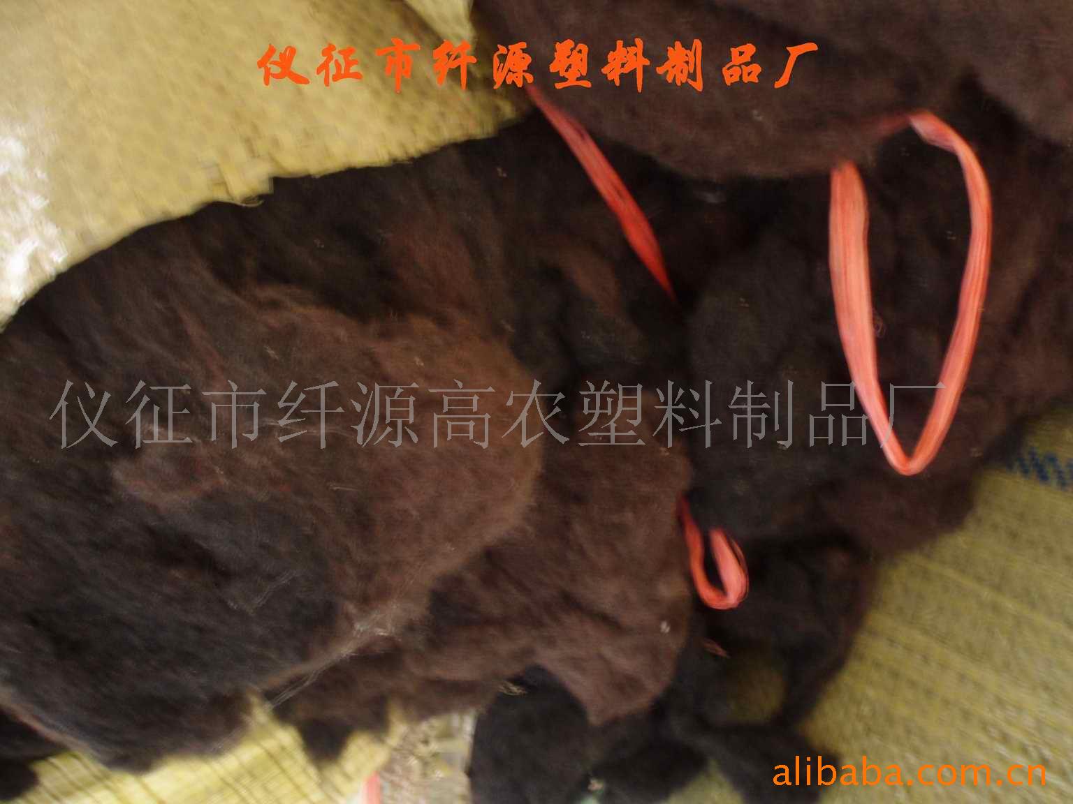 PETڷ