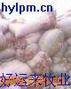 红花毛渣浅花毛渣