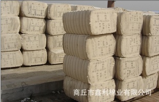 弶Ƥ