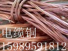 ִͭ鱨50000