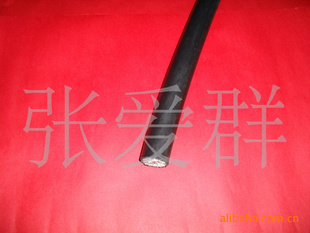 CEFR1×95õ