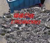 ڻշݸշ
