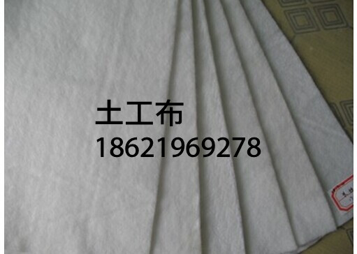 ڶ޷ĲϺ