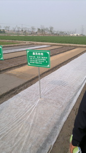 厂家水稻育秧无纺布(含抗老化)品值得购买