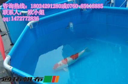 麣񲼼ӹʺ