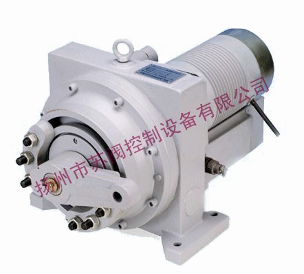 DKJ-3100ִ