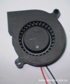 帻5015ķ