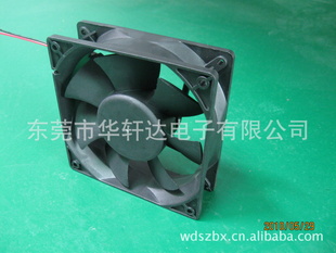12038/ֱ/纸/ɢ¶