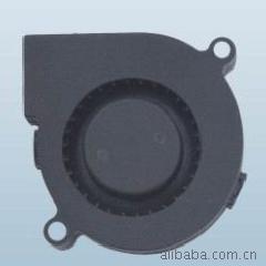ֱʪ5015ʪ@
