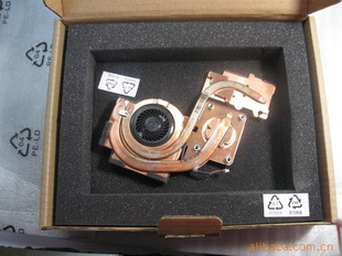 IBMT61T61P