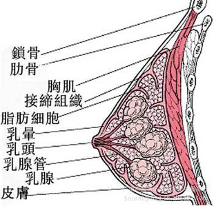 زƷ޺ԺƷؾͳOEM޺