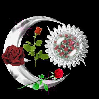 һֻԴױƷʫͻ