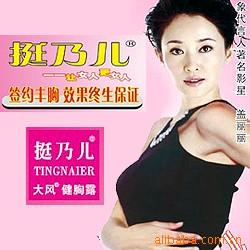 挺乃儿大风健代理批发