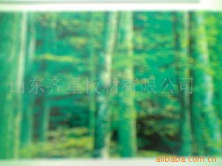 12mmǿľذ
