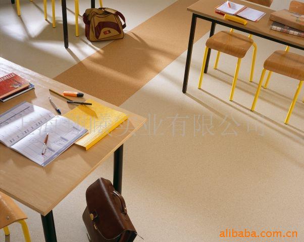 Gerflor׶԰PVCذ˿