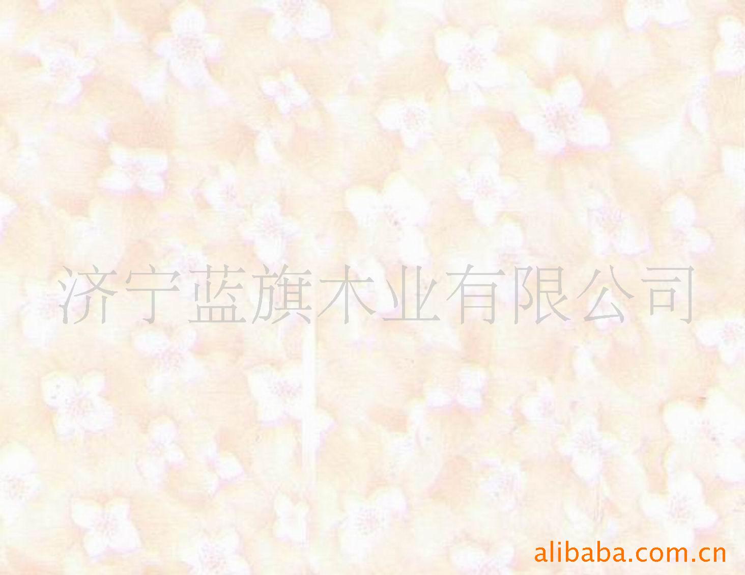 ʯǿذBB1763-5