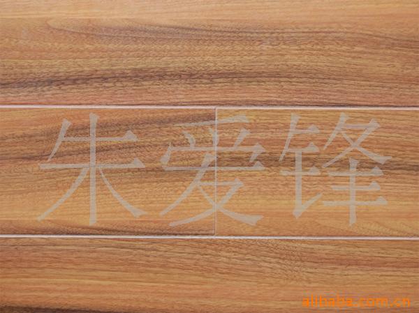 FS8009ǿϵذ