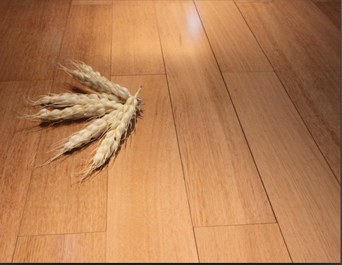 ŵƲ̬