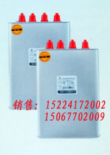 ̩˹ʽBSMJ0.4-2-3