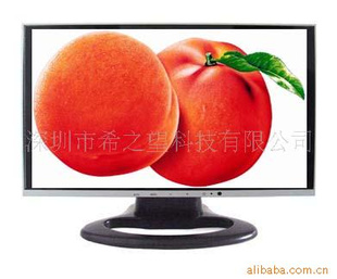 15"LCDҺʾ