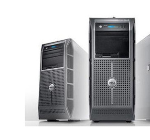 PowerEdgeR210II(XeonE3-1220/2GB/500GB)