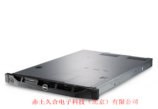 DELLPowerEdgeR310