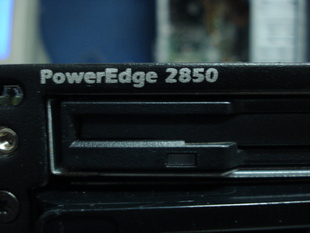 DELL28503.0GHZ/4G/146*2/RAID1/һ꣩