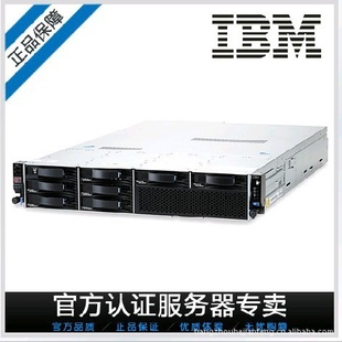 IBMX3620M37376I28