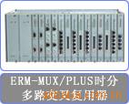 ERM-MUX/PLUSʱֶ·渴