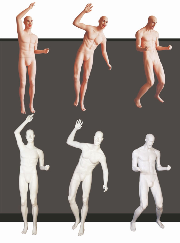 ̬˶չʾģء˶̬ģ