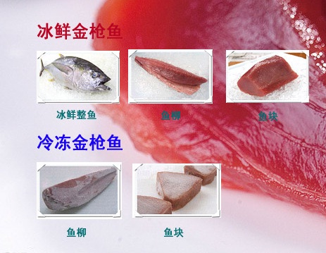 쳼ý