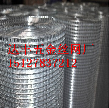 Ӧпȶп纸纸