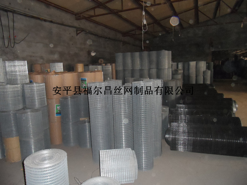 纸纸
